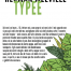 Typee di Herman Melville